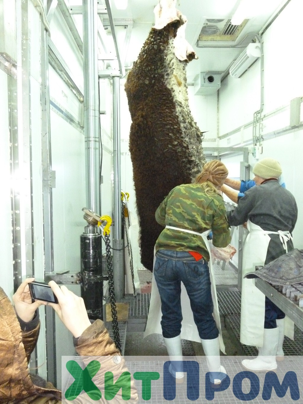 Комплекс убоя и переработки КРС до 20 голов/смена и МРС до 200 голов/смена. р. Татарстан