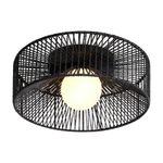 Потолочный светильник Freya Cottage FR5405CL-01B