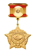 Нагрудный знак Воину-интернационалисту (муляж)