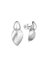 джекеты семена эвкалипта