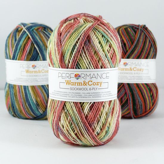 Пряжа Warm & Cozy 6-ply PERFORMANCE (75% шерсть супервош, 25% полиамид)