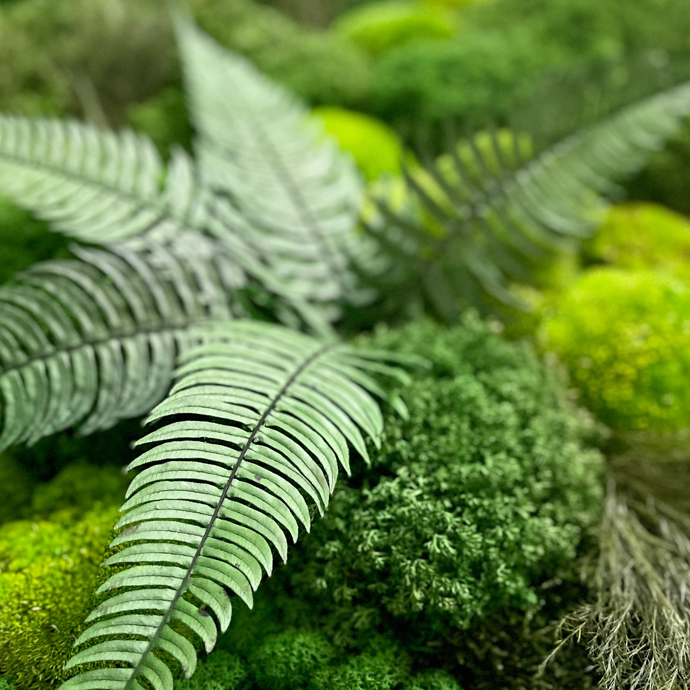 Озеленение интерьера с Green Factory 