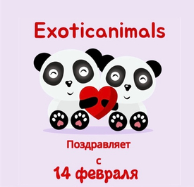 Акция в честь 14 февраля ❤️