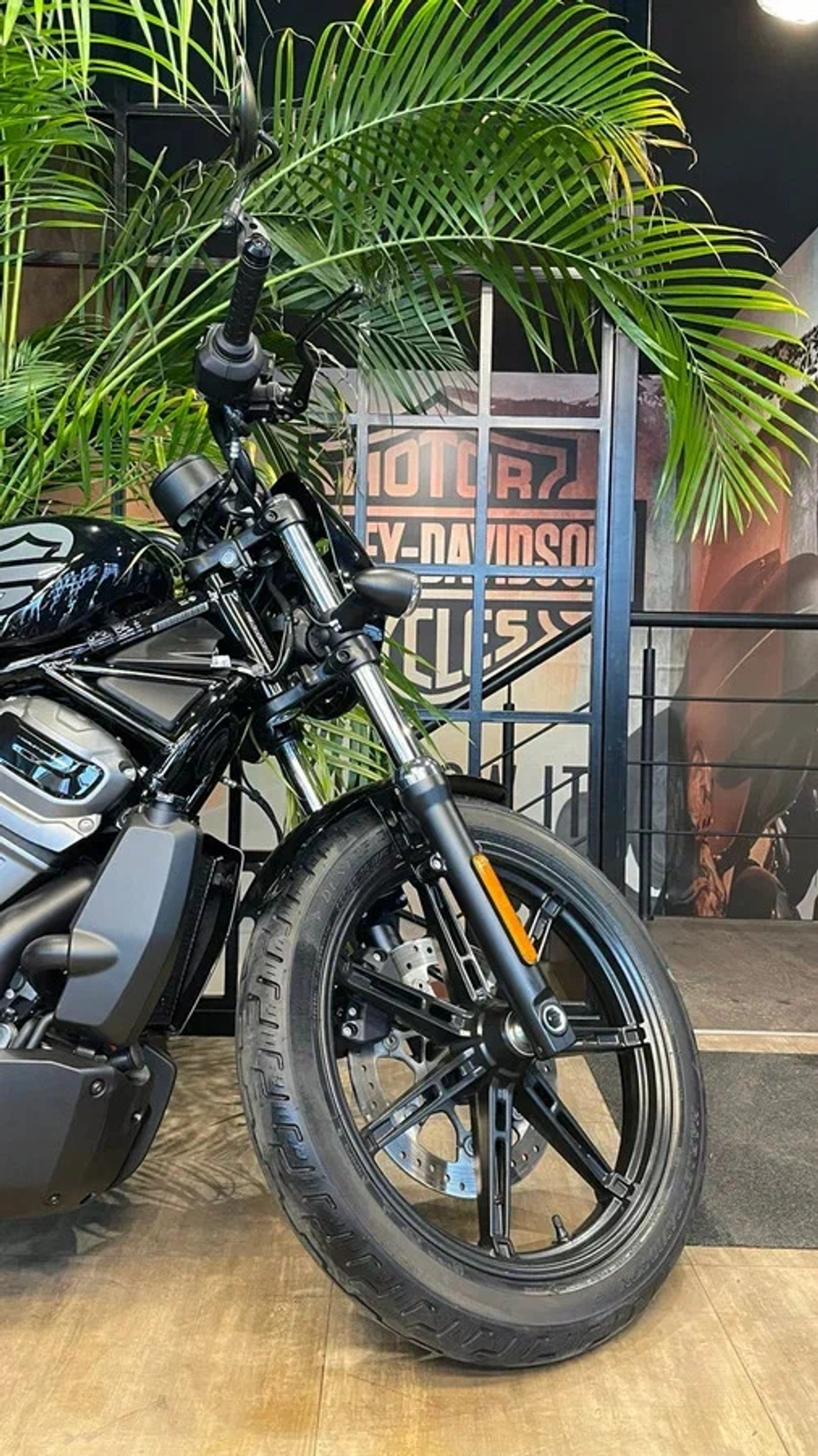 Nightster 975 Harley-Davidson "BLACK" 