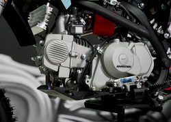 Мотоцикл питбайк SHARMAX MOTORS PowerMax 190 MIAMI