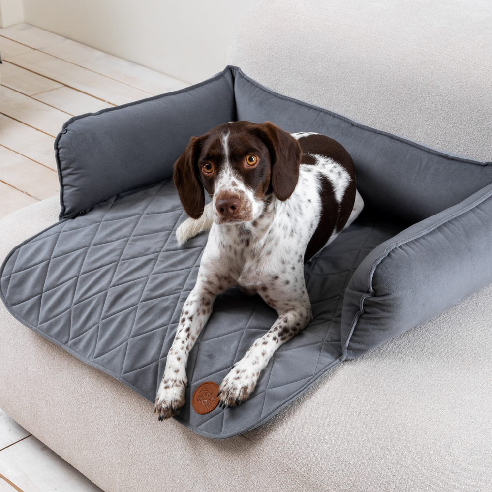 Диванный лежак из микровелюра, серый 90х60 Rachel WOW