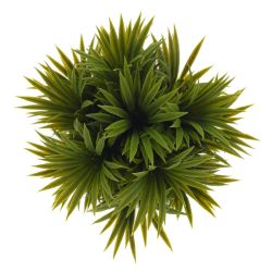 GAEM Цветочная композиция, L15 W15 H18 см