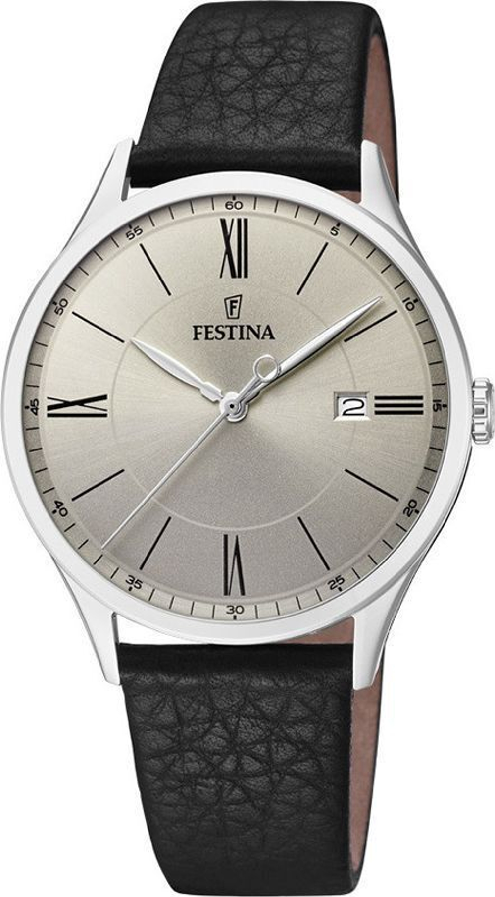 Часы Festina F16978/2