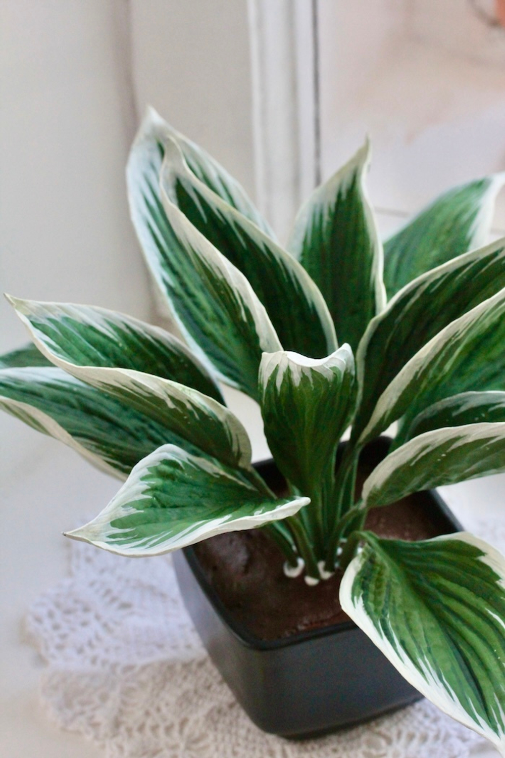 Вайнер лист Хосты ClayCraft by DECO™