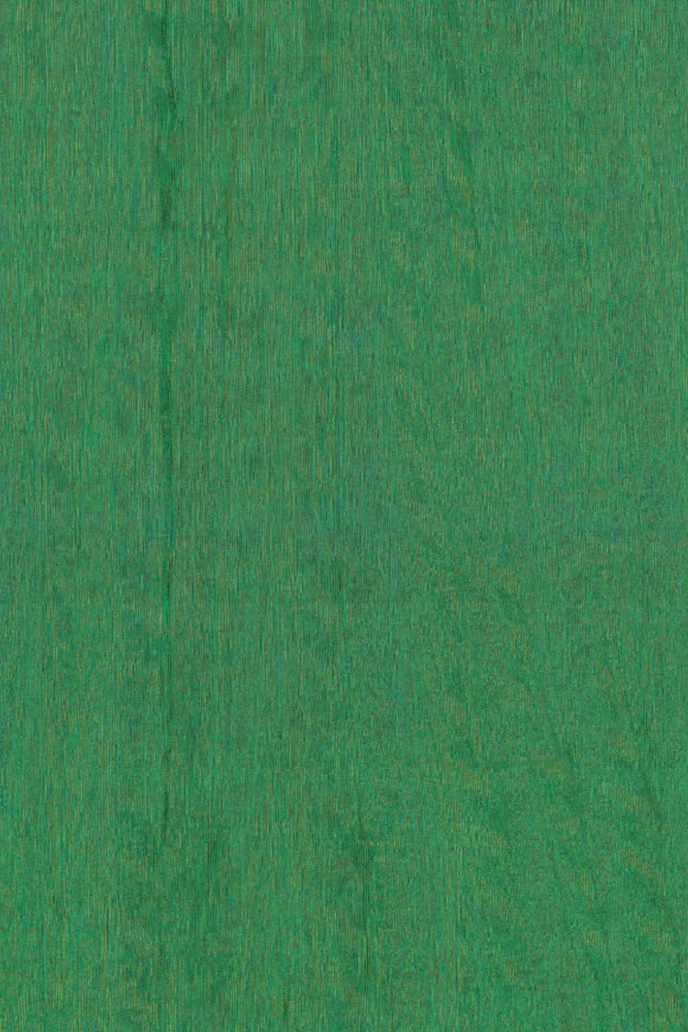 Arte Amazone 2 Fierce – 23509