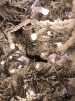 Заснеженная елка с гирляндой «Аляска» (Литая+пвх) 270 см / 2.7 м