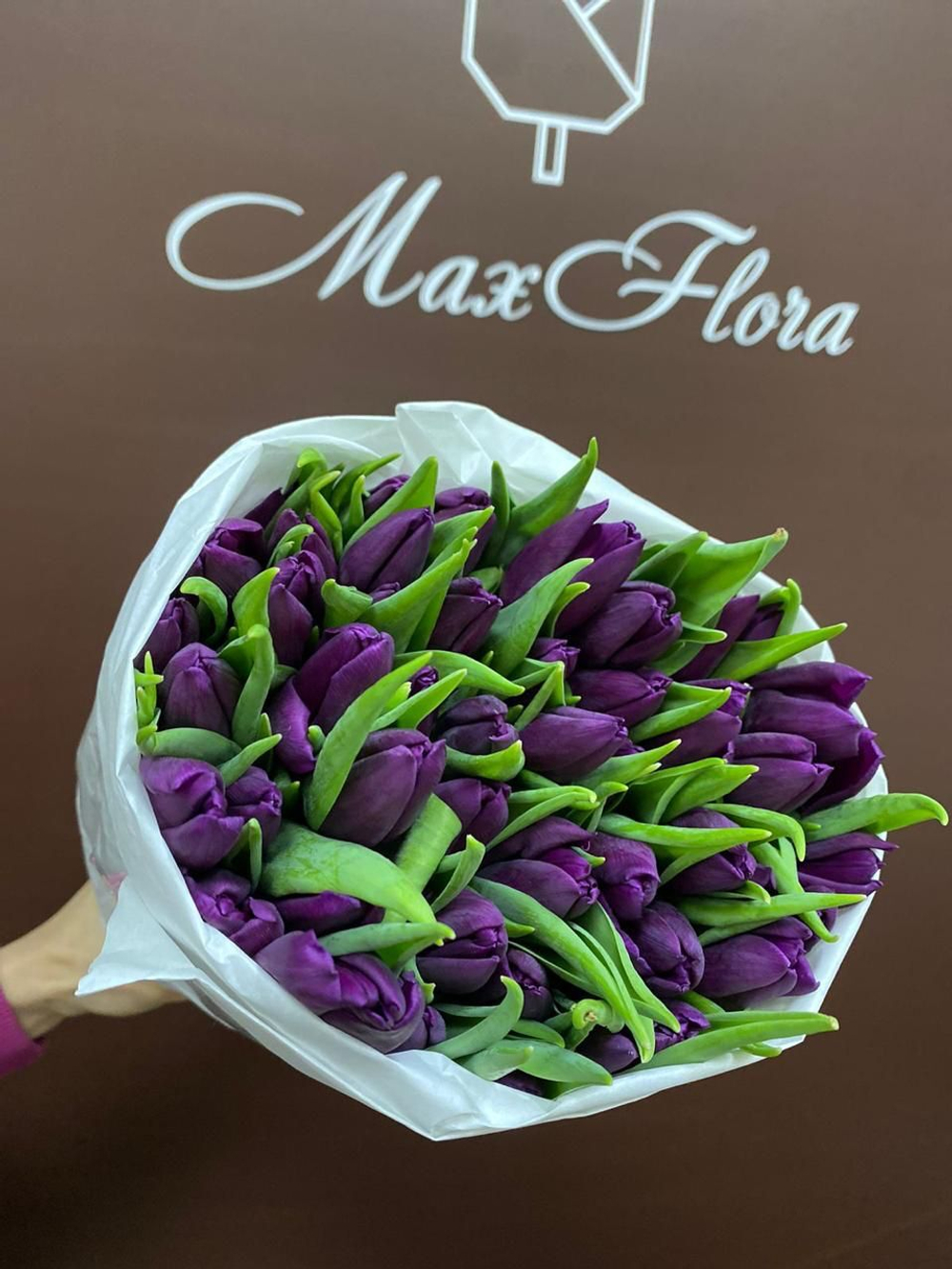 Тюльпаны 8 Марта 51 М-67