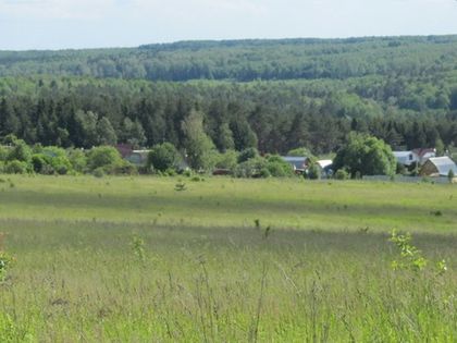 «Тарусская поляна»