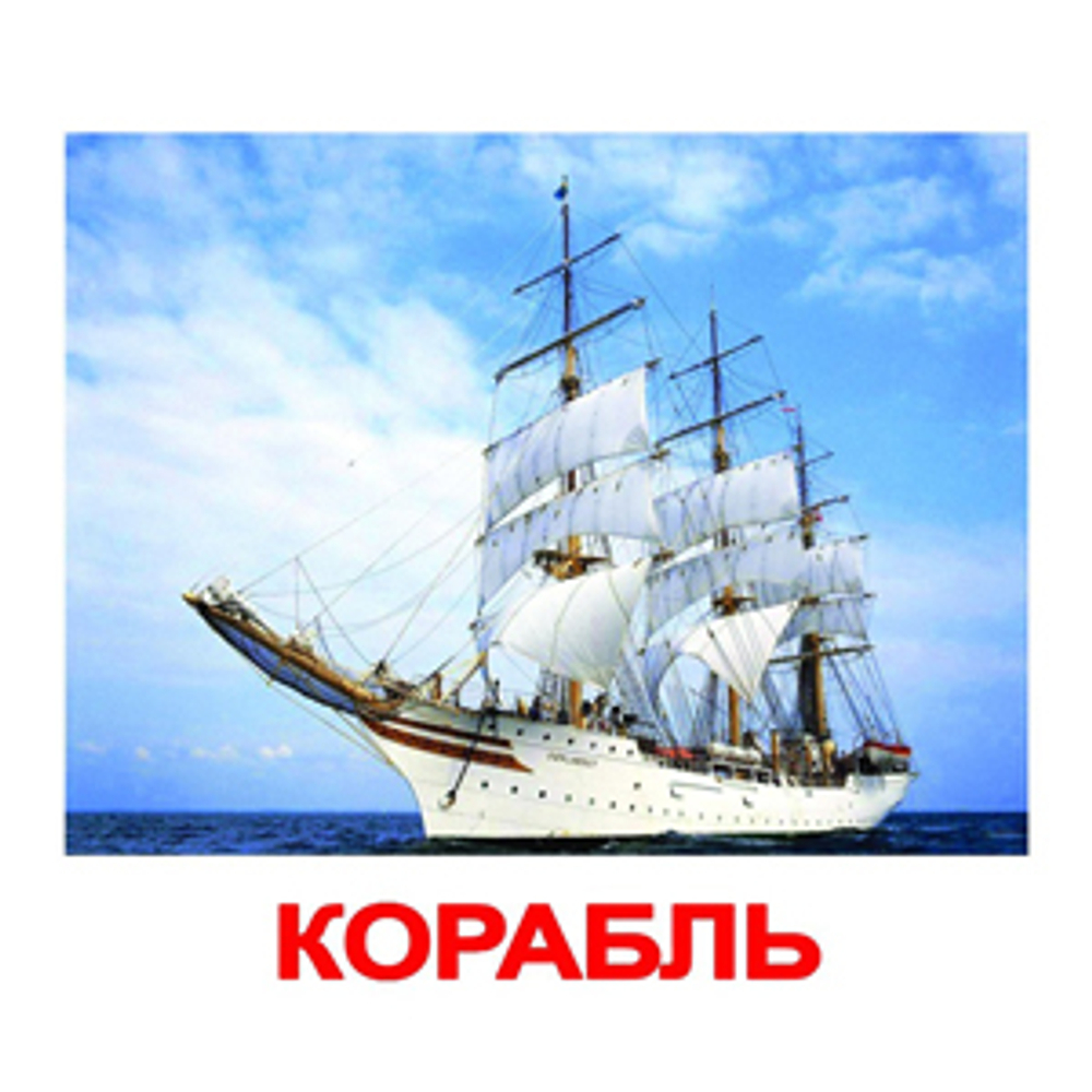 Карточки большие "Транспорт"
