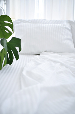 Страйп-Тенсель