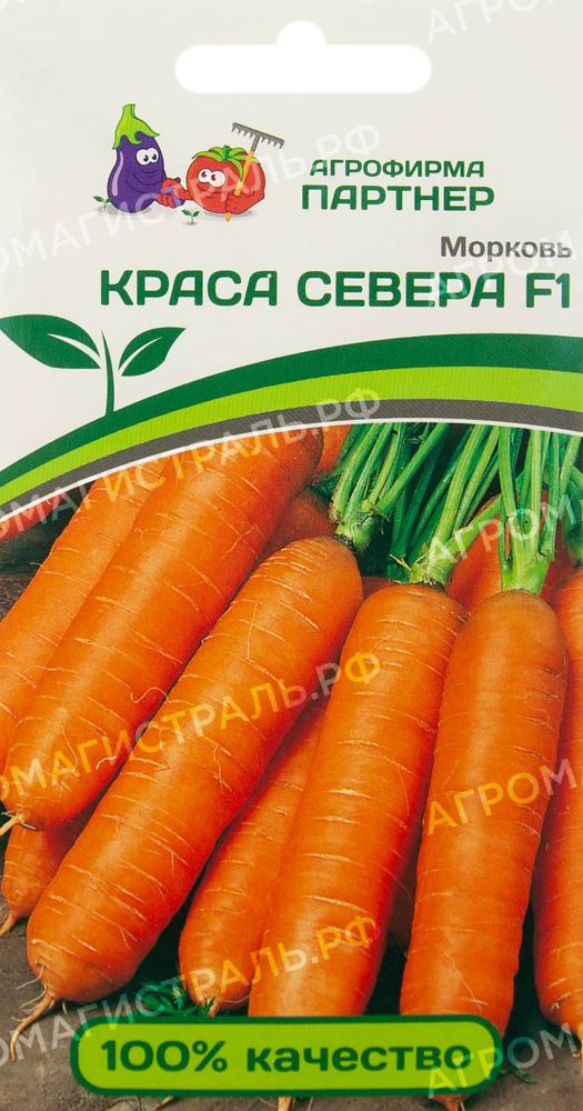 Морковь Краса севера Партнер Ц