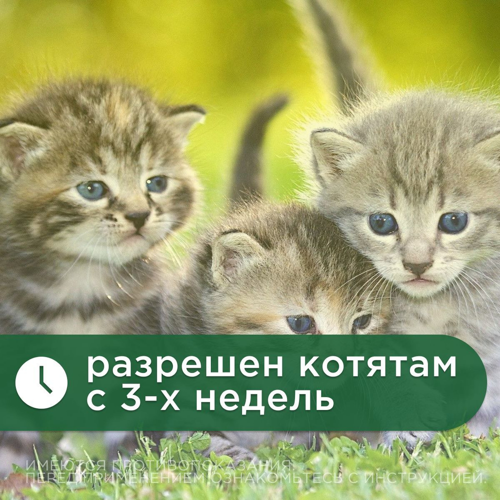 Таблетки от гельминтов и лямблий для кошек Фенпраз 6таб, Пирантел/ Празиквантел/Фенбендазол