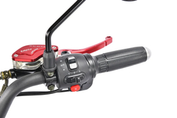 Электроскутер Citycoco White Siberia PRO Trike 3000W Красный