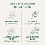 Traditional Medicinals, Organic ThroatCoat®, оригинальный продукт со скользким вязом, без кофеина, 16 запеченных чайных пакетиков, 32 г (1,13 унции)
