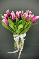 Розовые тюльпаны 15, 21, 33, 51 шт