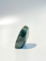 Срез Лабрадора S