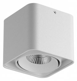 Накладной светильник Lightstar Monocco 052116-IP65