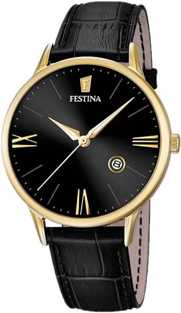 Мужские наручные часы Festina F16825/4