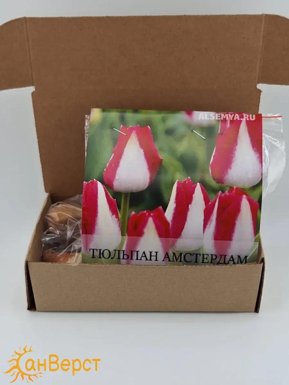 Тюльпаны луковицы многолетние морозостойкие крупные