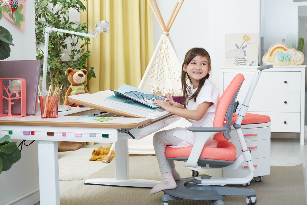 Эргономичное кресло TCT Nanotec Ergo-BABO