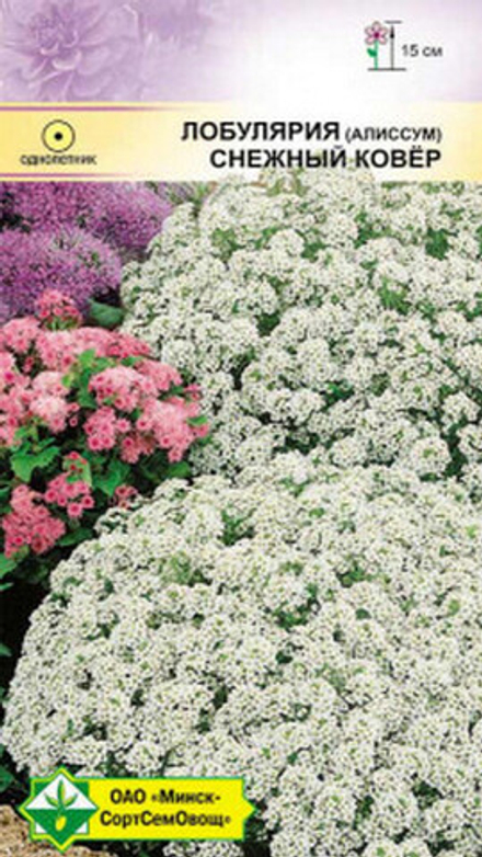 Лобулярия морская "Снежный ковер" 0.2г, Германия.