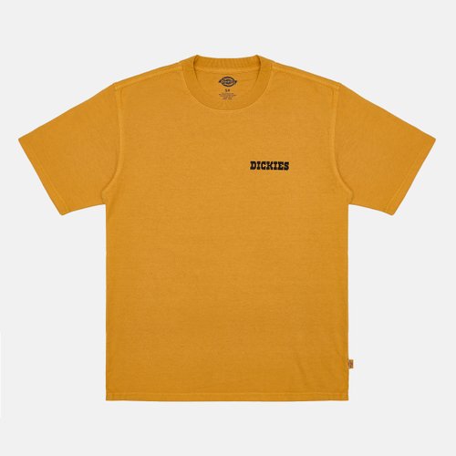 Футболка мужская Dickies Darrtown Short Sleeve Tee 
