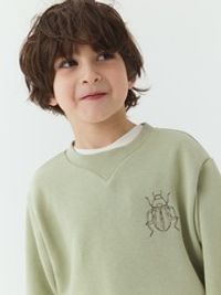 Свитшот "Полынь" утепленный без начеса