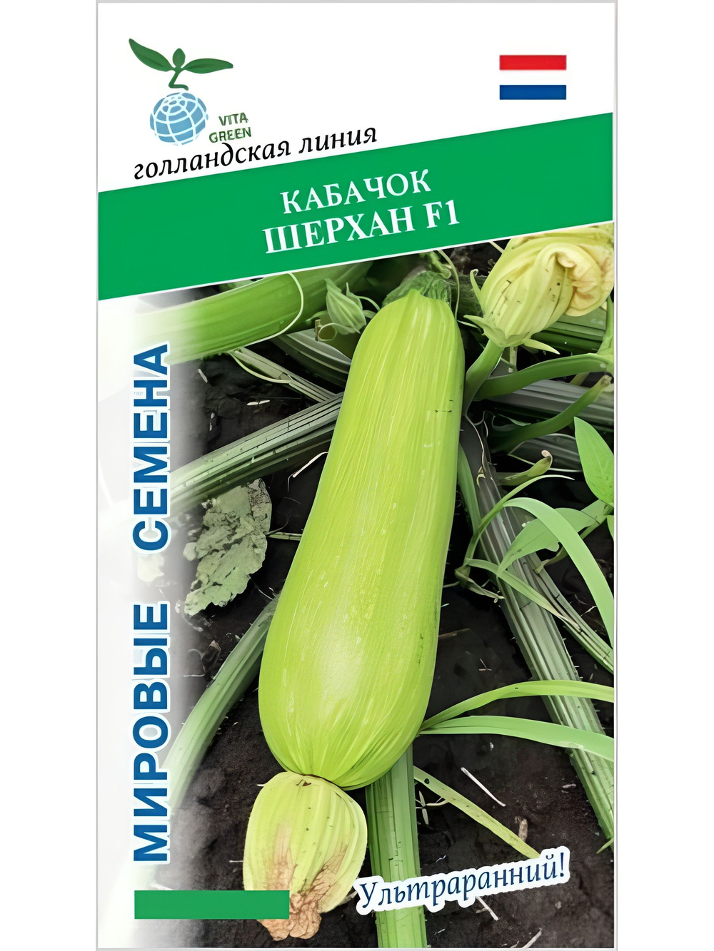 Семена кабачков Шерхан F1, 5 семян (Vita Green / Вита Грин)
