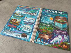Альбом "Природные зоны"