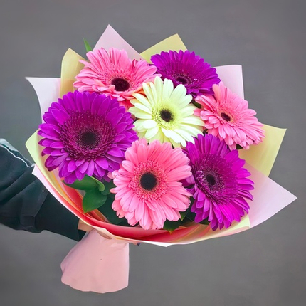 Букет из 7 гербер