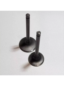 Клапаны LF120, YX125, YX140 стандартные d=23/27