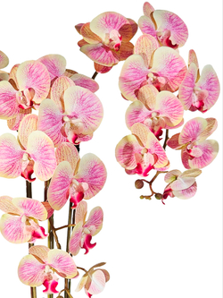 Орхидеи искусственные в горшке бежево-лиловые 3 ветки