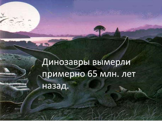 Набор "Жизнь на Земле"