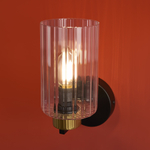 Настенный светильник Freya Ombre FR2051WL-01BBS1