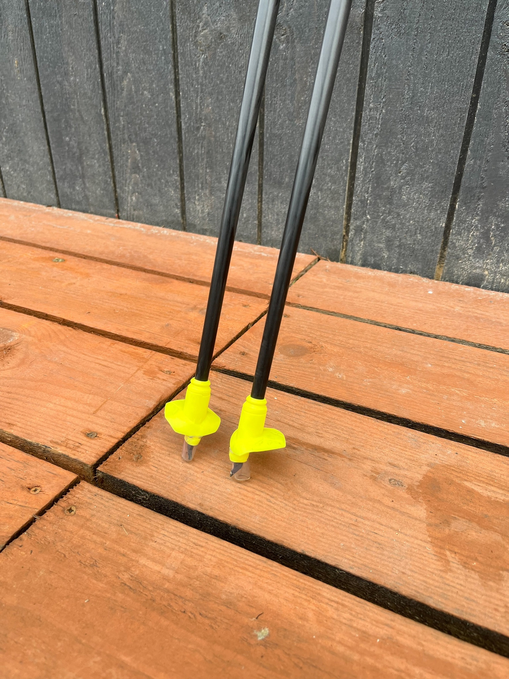 Палки Fischer Carbon Lite 120 см