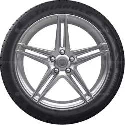 Triangle TW401 WinterX 245/45 R19 102V XL