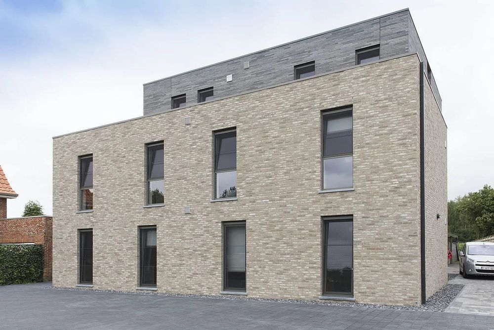 Кирпич ручной формовки облицовочный Nelissen, Arte, WDF65, 215x100x65