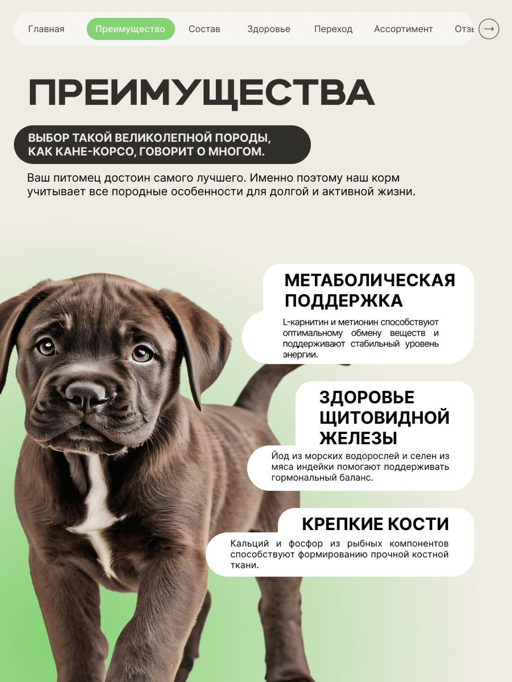 Корм сухой для щенков породы Кане корсо, премиум полнорационный комплекс, с ягненком, 12 кг, QUATTRO