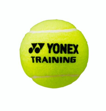 Теннисные мячи Yonex Training 60B