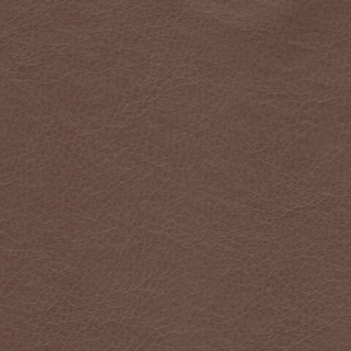 Искусственная кожа Stainless (Стейнлесс) 707