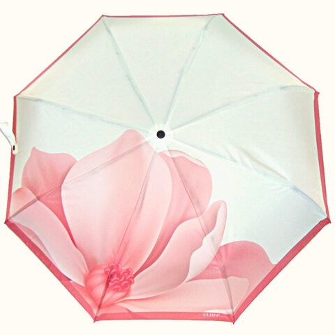 цветок магнолии на куполе зонта