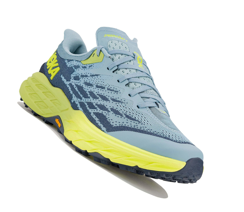 Кроссовки мужские Hoka Speedgoat 5