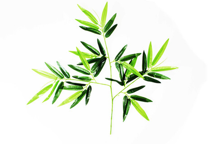 Ветка бамбука малая