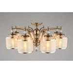 Потолочная люстра Aployt AGATA APL.720.07.08