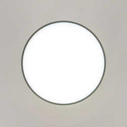 Накладной светильник Citilux CL745011N